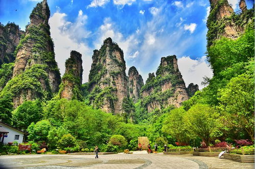 張家界旅游景點(diǎn)交通方式匯總